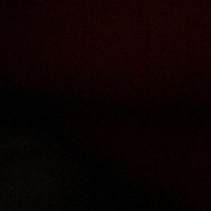 Meet your Posher, Benjamin